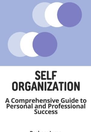 personal self organization
