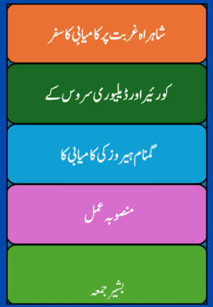 Shahrah e Ghurbat Par Kamyabi Ka Safar-Couriers and Delivery Services Force-Action Plan